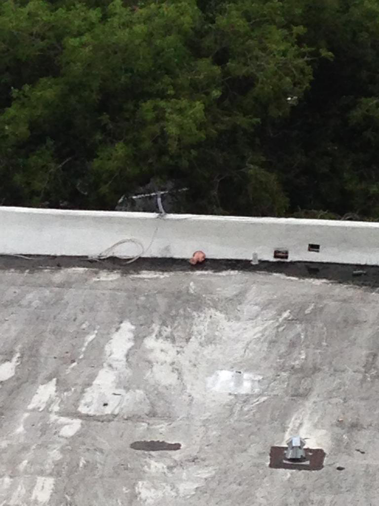 Finalrestingplaceholofernes