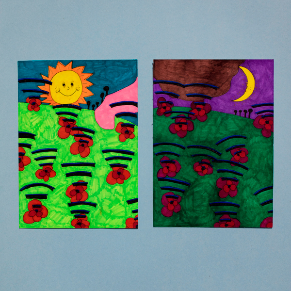 Field Of GroFi Poppies At Night And Dawn With Nomad