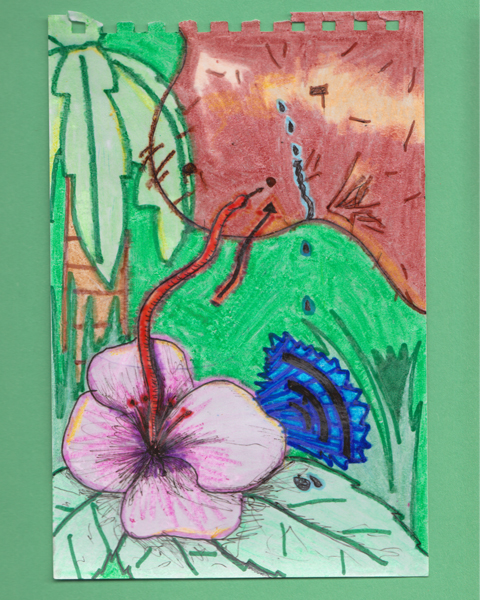 Crying In The Tropics