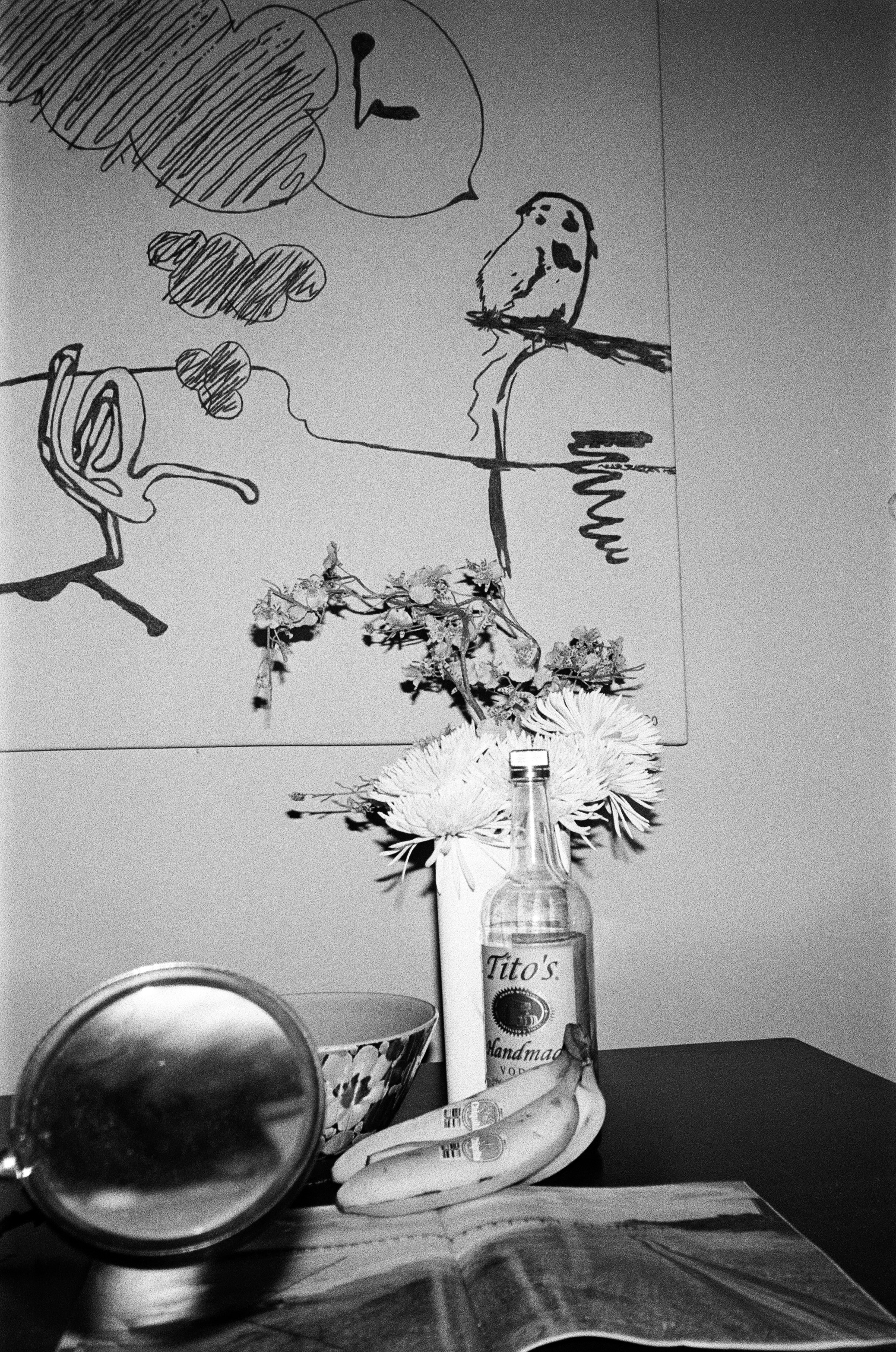 Drawing for Luz and Still Life Shot on Canon Snappy 50